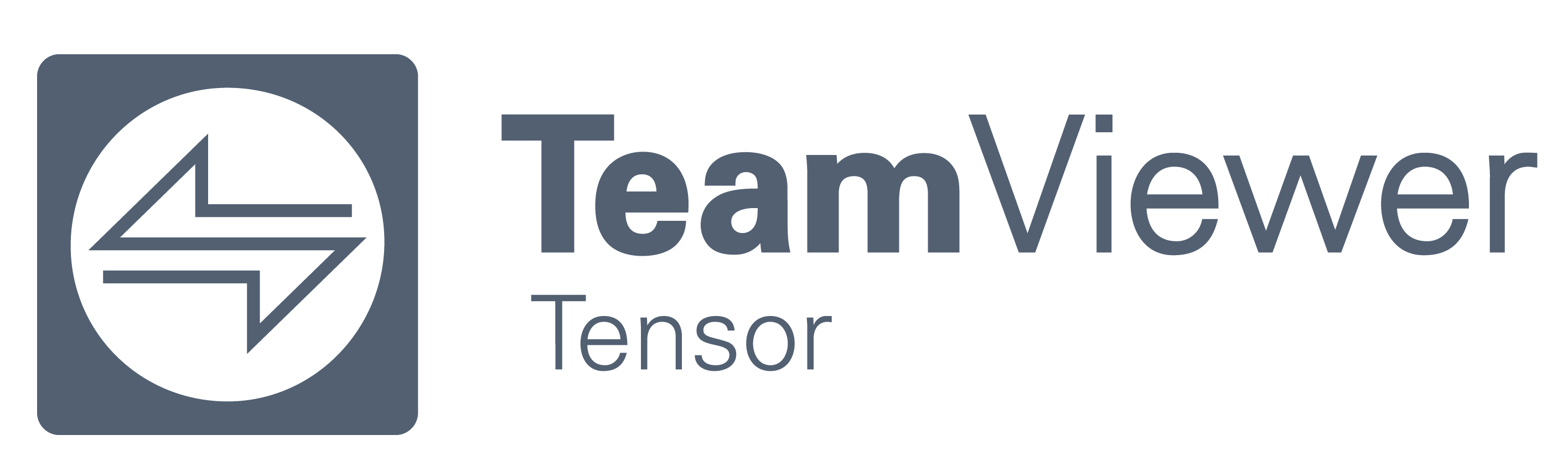 TeamViewer-Tensor-Logo-Final-v2@14x