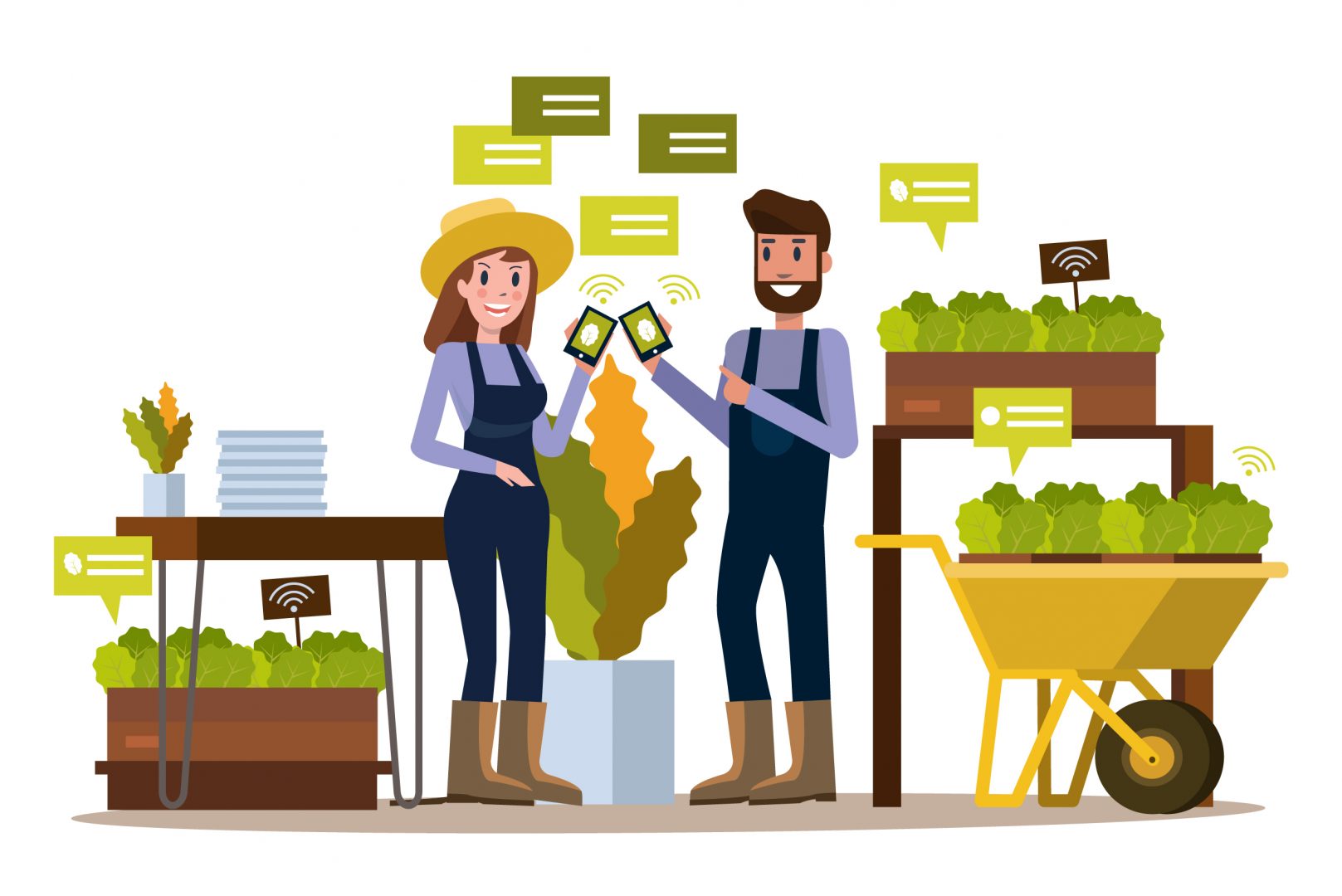 modern farmers applying smart farming using TeamViewer IoT software on smart phones in green house