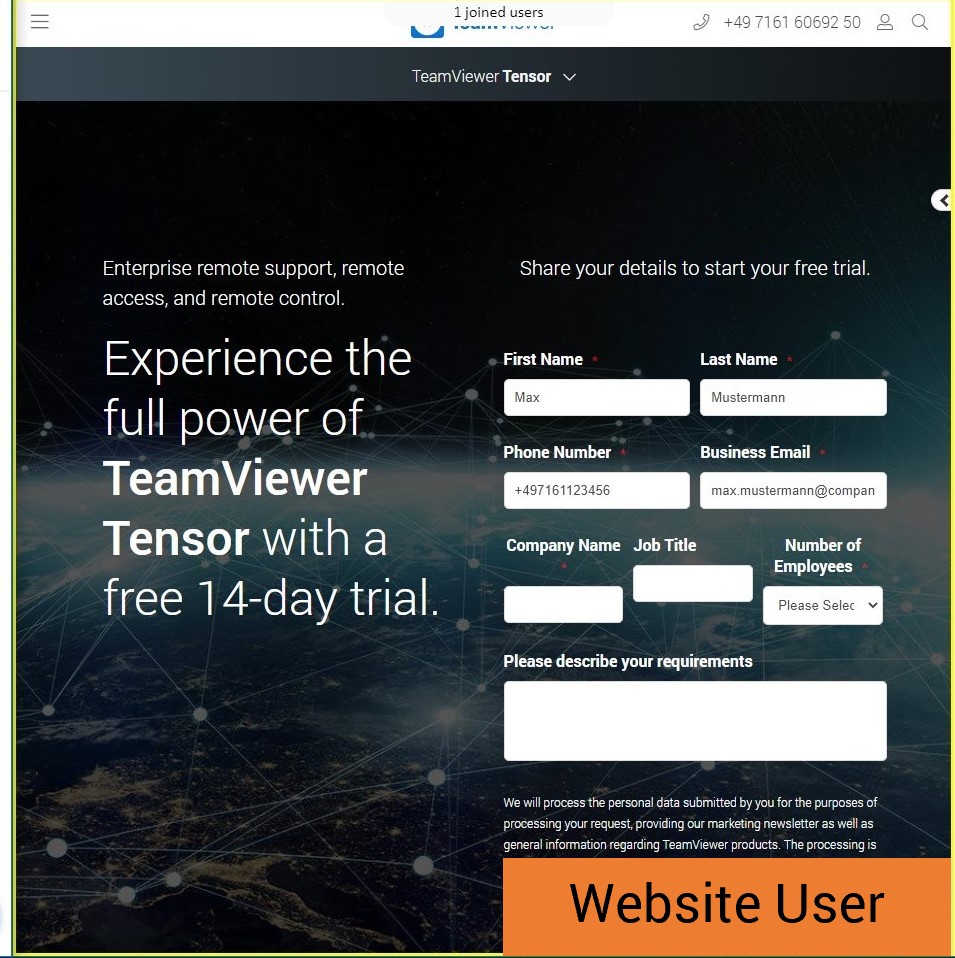 teamviewer sign in greyed out