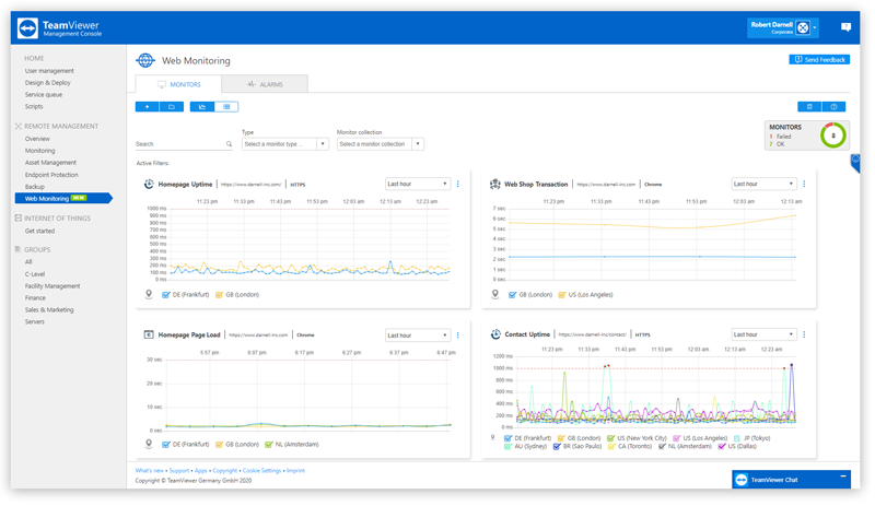 team viewer logs