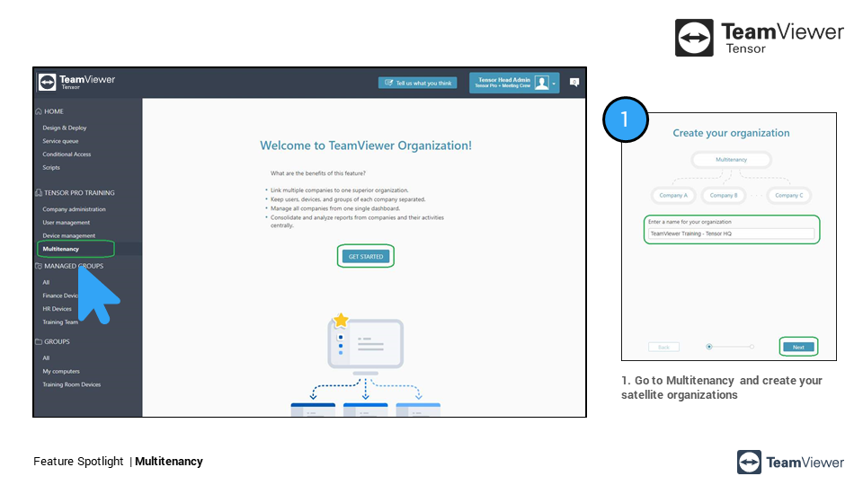 teamviewer tensor license